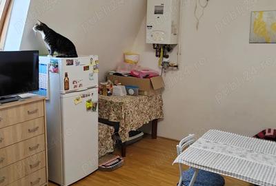 Apartament spa?ios 2 camere Zona Dambovi?a, langa Parcul Clabucet - 5