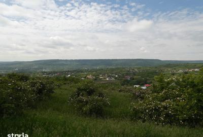 Casă cu 6 camere cu Teren 12900 Mp în Cotnari - 10