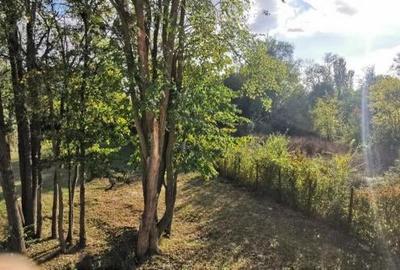 Snagov Izvorani Vila impresionanta prin dimensiune si spatii vitrate