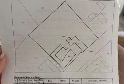 Casa Cerna-Tulcea - 1