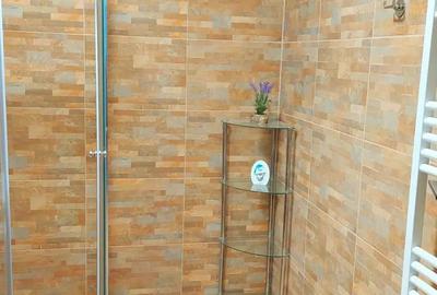 Inchirere ap 3 camere bd Mihai viteazu - 4