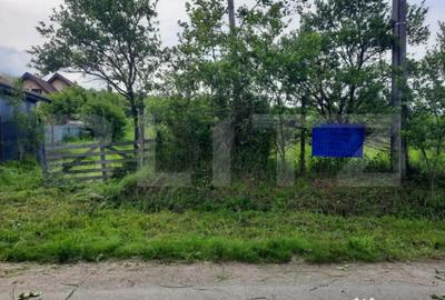 Teren de 1800 mp, în Ciurila - 3