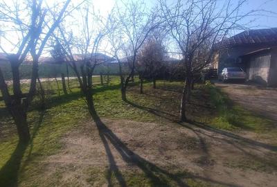 Casă cu Teren 1200 Mp în Broșteni - 1