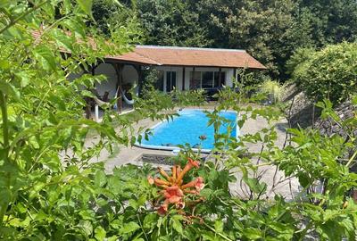 Proprietate exclusivista cu 60.000 mp teren ?i padure - 3