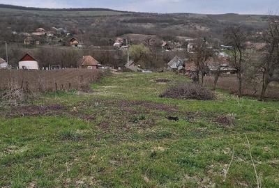 Teren de 1740 mp, în Feldioara - 2