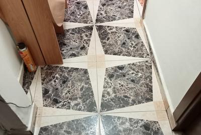 Ferentari,et.1/10,Amenajat,Liber - 11