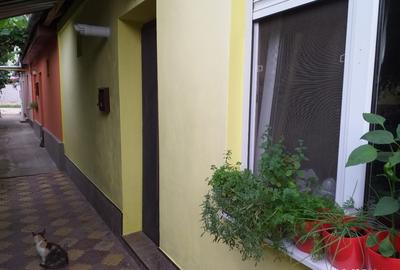 Casă cu 2 camere în Central - 1