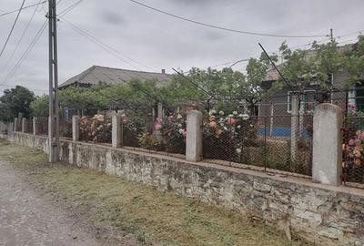 Casă cu 4 camere cu Teren 3046 Mp în Zebil - 6
