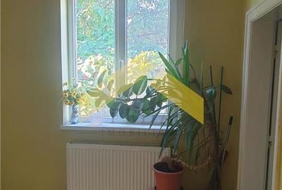 Casă individuală cu 7 camere cu Teren 1400 Mp în Mehala - 8