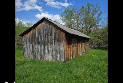 Teren de 2200 mp, în Ilia - 4