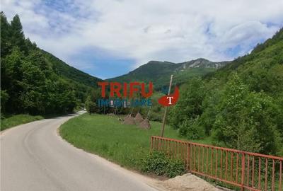 Teren de 5542 mp, în Galda de Jos - 1