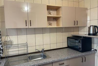 Apartament 1 camera, etaj intermediar, zona Hotel Paradis Apartament 1 camera, etaj intermediar, zona Hotel Paradis - 4