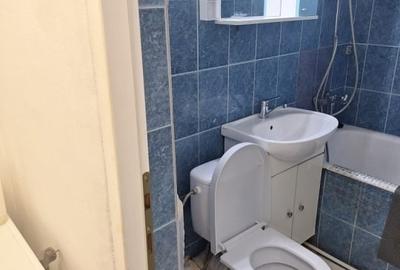 Apartament cu 2 camere - zona Podu Ros - Bld. Primaverii - 11