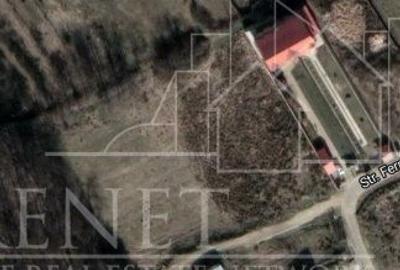 Spațiu comercial, în Bascov - 4