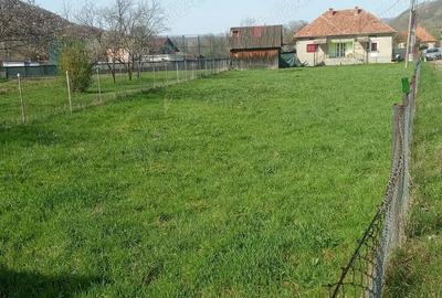 Vand casa in Valea Draganului! - 1