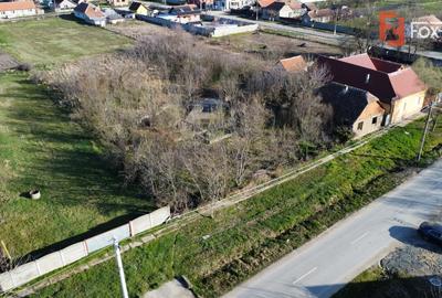 Teren Construcții intravilan de 2840 mp, în Jebel - 13