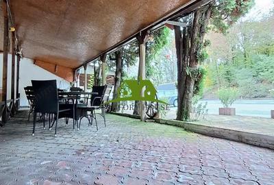 Loca?ie cu poten?ial bar, restaurant ?i cazare pe DN7 Dealul Negru - 4