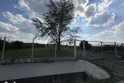 Teren de 4600 mp, în Sânmartin - 1