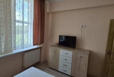 Apartament cu 2 camere în Valea Borcutului - 4