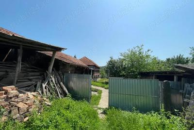 Casă cu 3 camere cu Teren 3800 Mp în Bălănești - 3