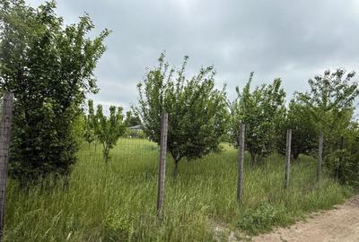 Teren de 2424 mp, în Miroslava - 5