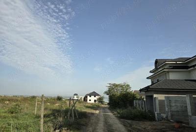 Teren de vanzare in Palazu Mare - 5