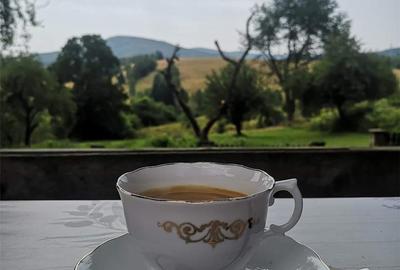 Casă cu 6 camere în Brebu - 1