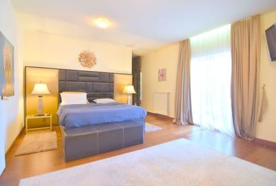 Vila cu piscina si teren generos-Braytim Timisoara - 13