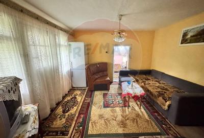 Casa traditionala cu potential de vanzare-HEMEIUS - 4