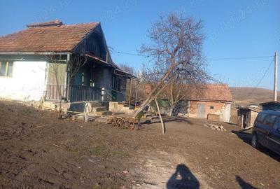 Casă cu 2 camere în Ceanu Mare - 4