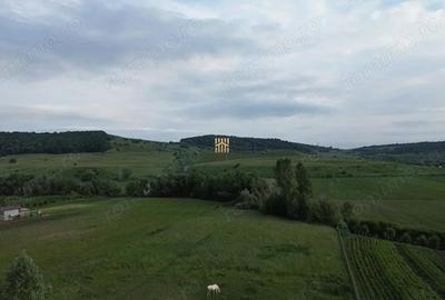Teren de 3953 mp, în Fălticeni - 13