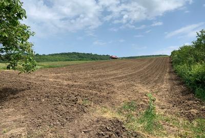 Teren intravilan | 5100 mp | zona Gusterita - 6