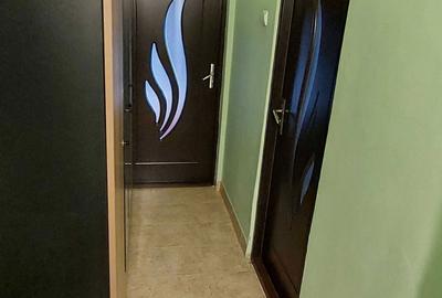 Apartament cu 2 camere semidecomandat în Mioriței - 5