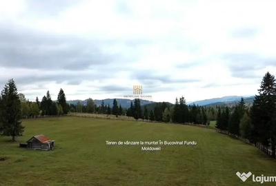 Teren de 16813 mp, în Fundu Moldovei - 11