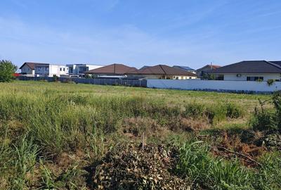 Teren agricol intravilan de 5000 mp, în Moșnița Nouă - 7
