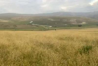 Teren de 14500 mp, în Cojocna