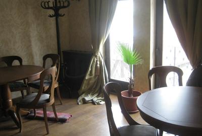 Vila renovata - zona Cismigiu - 8