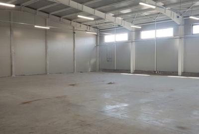 Spațiu comercial, de 520 mp, în Afumați - 5