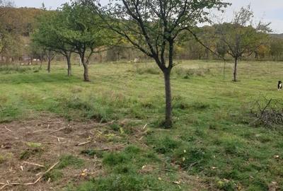 Casă cu 2 camere în Balotești - 3