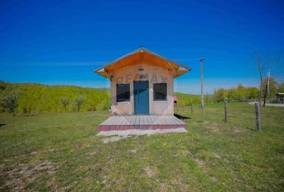 Casă individuală cu 7 camere cu Teren 30200 Mp în Prelucele - 41