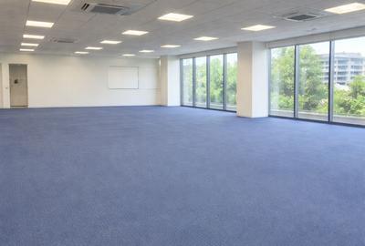 Birou, de 150 mp, în Primăverii - 3