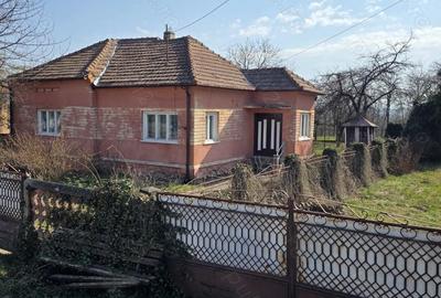 Casă cu Teren 2800 Mp în Totești - 10