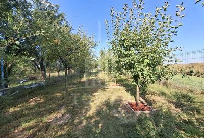 De vanzare casa in Orlat, cu teren generos de 2200 mp ?i panorama deosebita! - 17