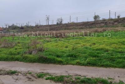 Teren Intravilan 5.000 mp – Perfect pentru Parc Fotovoltaic, Hale sau Lotizare - 4