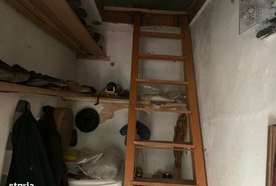 Casă cu 3 camere cu Teren 7600 Mp în Putna - 19