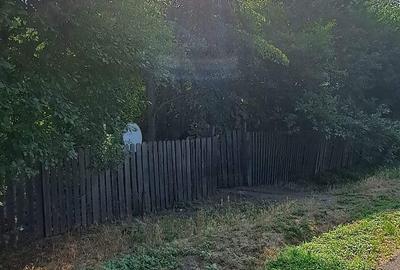 Teren de 2500 mp, în Radu Vodă - 4