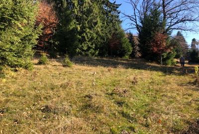 Teren agricol extravilan de 4900 mp, în 13 Decembrie - 6