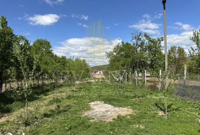 Casă cu 4 camere cu Teren 810 Mp în Central - 2