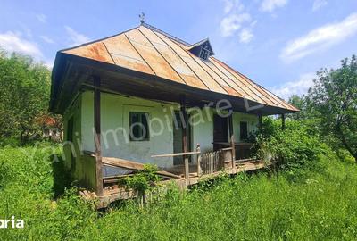 Casă cu 2 camere cu Teren 4105 Mp în Valea Iașului - 1