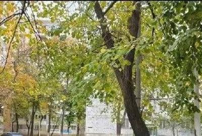 Apartament cu 3 camere semidecomandat în Drumul Taberei - 3